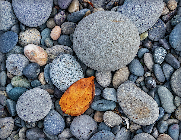 Rialto Beach Pebbles by Carolyn Derstine Rialto Beach Pebbles by Carolyn Derstine